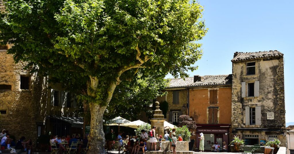 Bustling village square with café under a large tree in Provence, France.